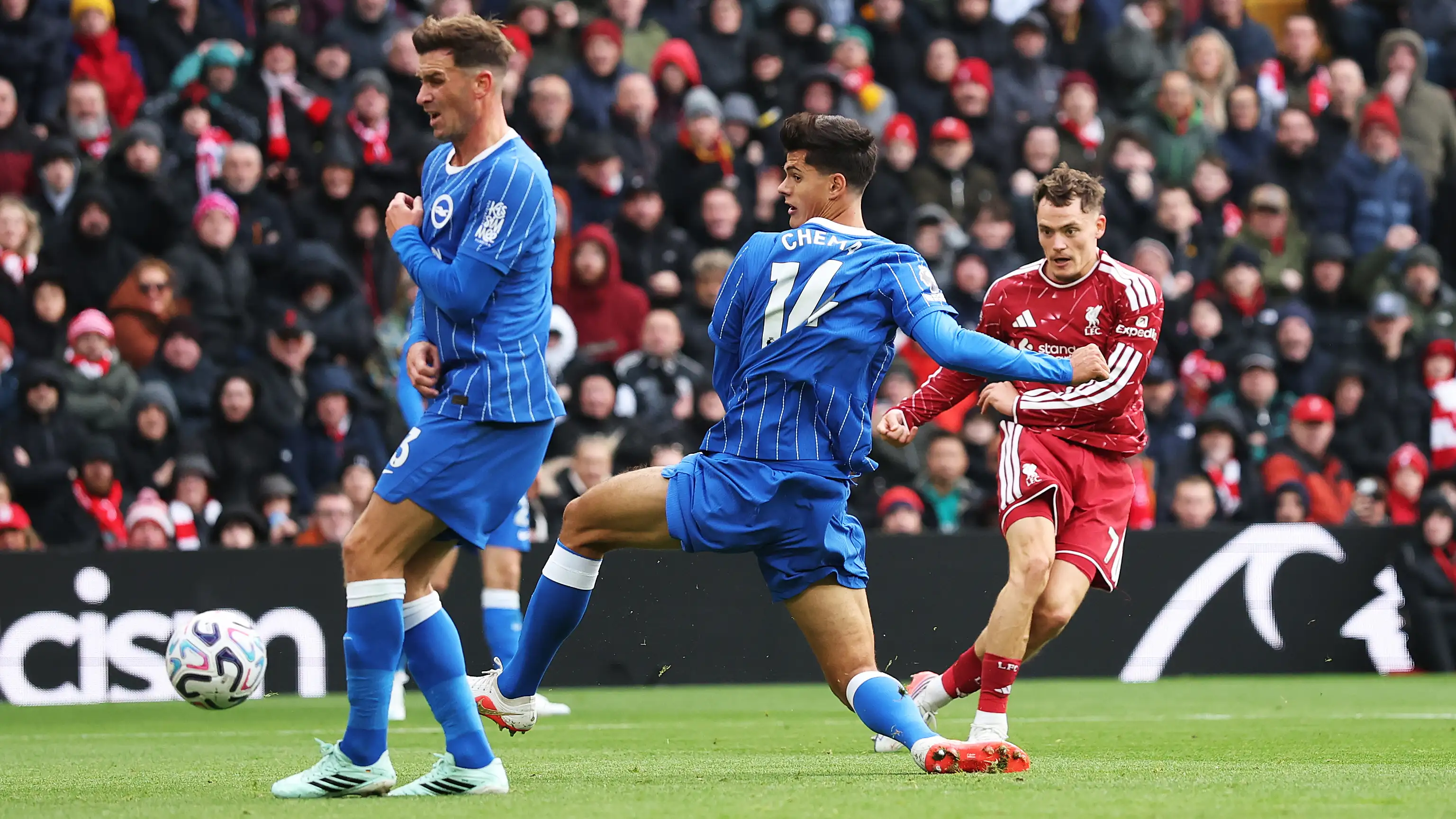 Brighton menderita pukulan awal, Liverpool unggul cepat