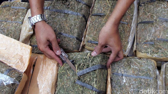 Ngeri! 86 Kg Ganja Ditemukan di Bus Klub Brasil Sao Paulo FC