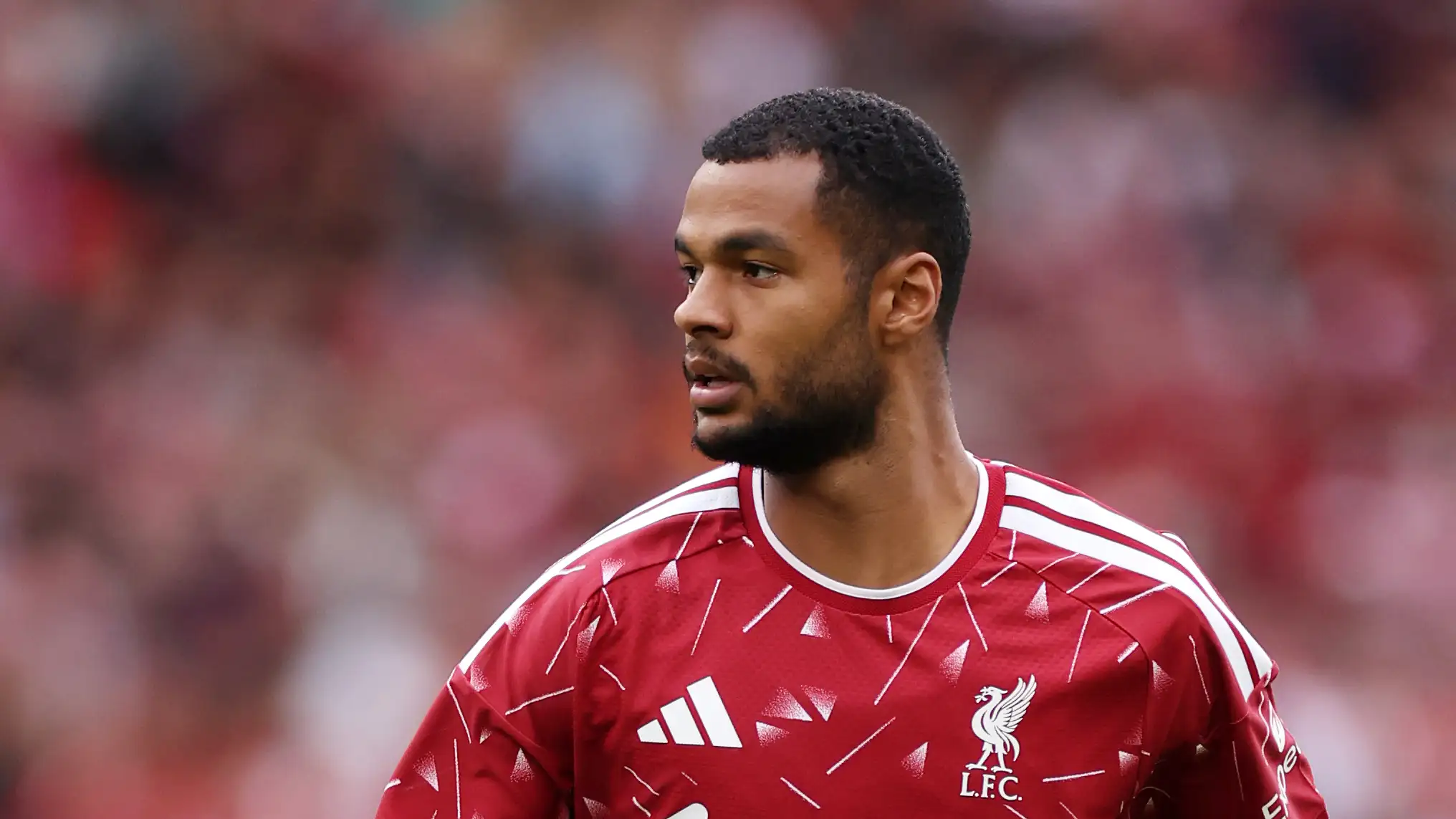 Pers Inggris melihat perubahan besar pada Cody Gakpo dan memberikan saran untuk Liverpool